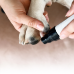 Elektrisk neglesliber til hunde og katte - 2 hastigheder - Image 2