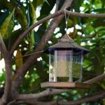 Bird Feeder with Classic House Design, Transparent Sides and Practical Hanging for the Garden - Image 2