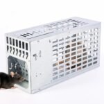 Rat Trap with Automatic Door for Live Capture – 30 Cm