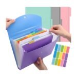 Accordion Folder in 13 Layers for A4 in Blue and Pink with Expandable Compartments and Coloured Tabs for Sorting