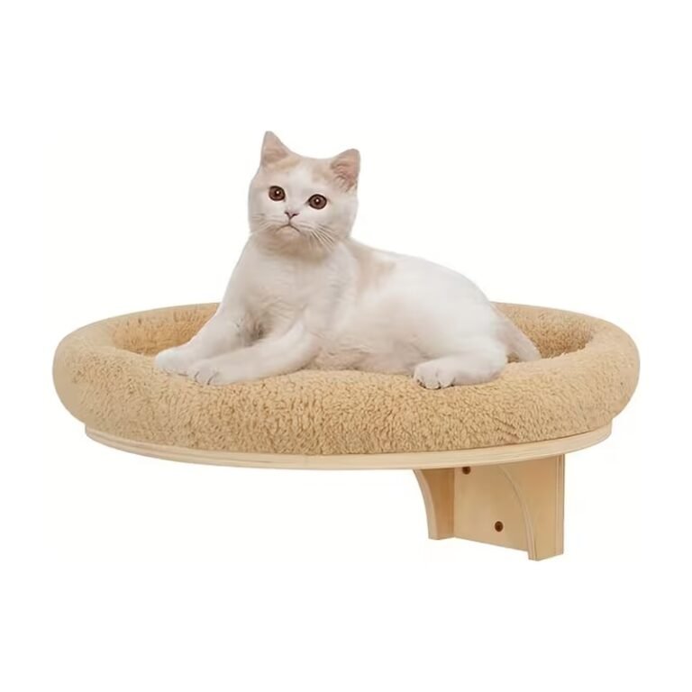 Wall-Mounted Cat Bed with Round Sleeping Area