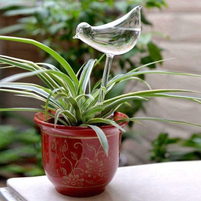 Glass bird plant watering bulb in a potted spider plant
