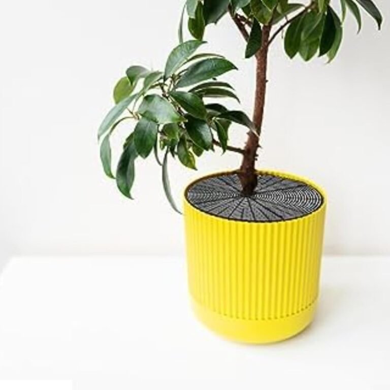 Plant Protector Grid Dome in Brown and Black in use