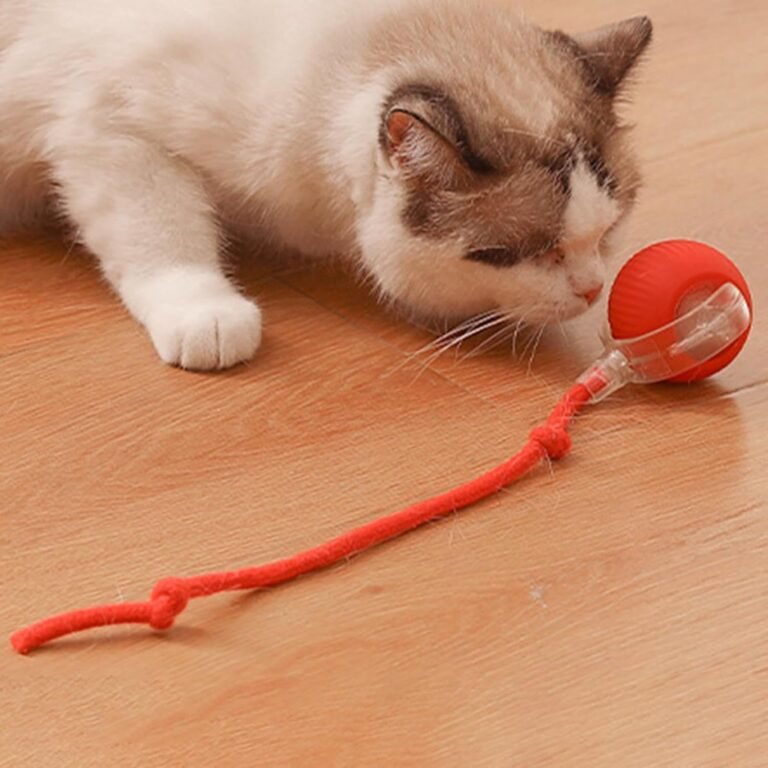 Interactive Cat Toy in use