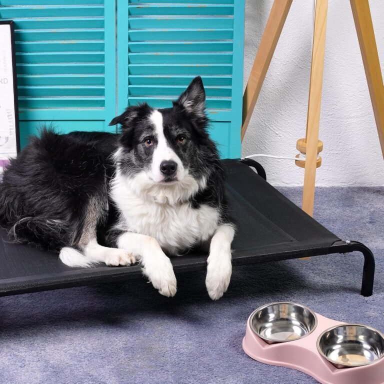 Raised Foldable Dog Bed in use