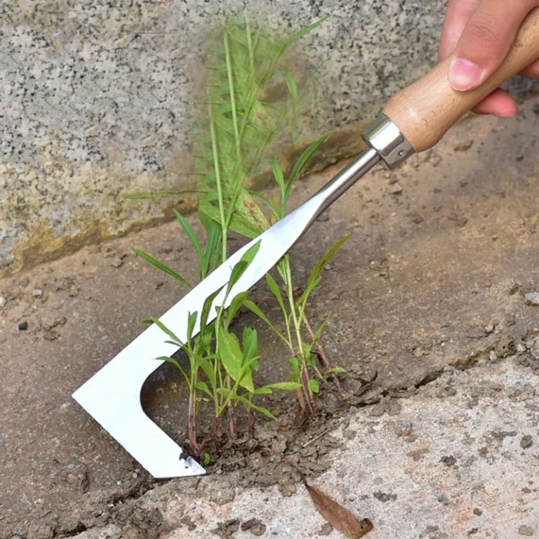 Weed Remover in Stainless Steel in use at home