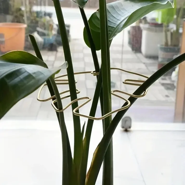 Wall-Mounted Plant Holders in Brass in use at home