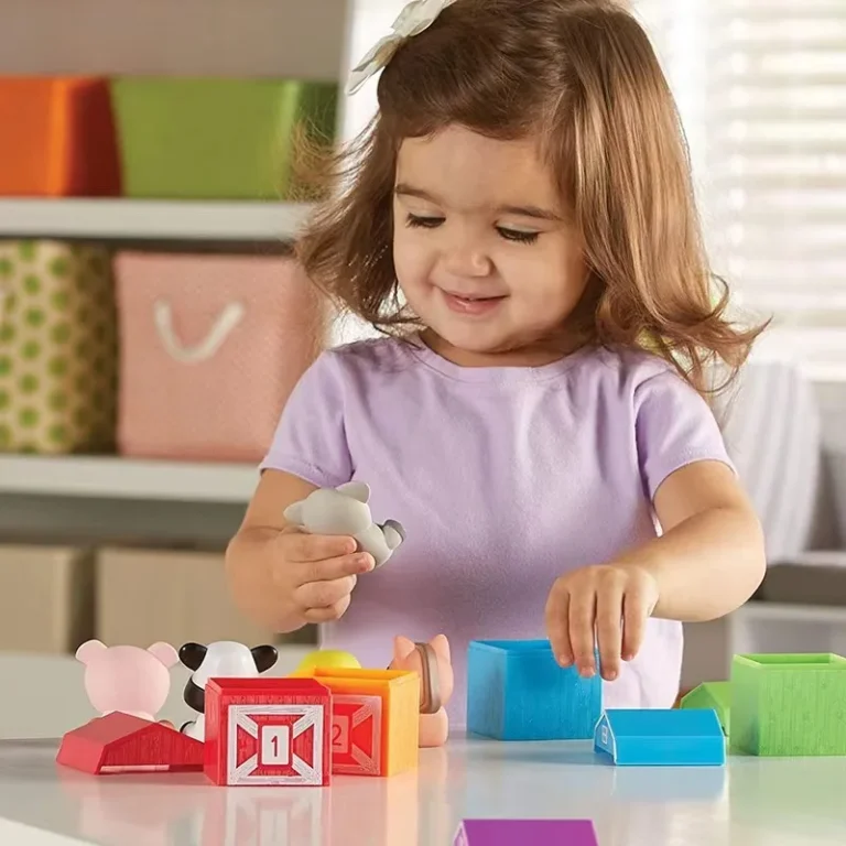 Sorting and Counting Set in use at home