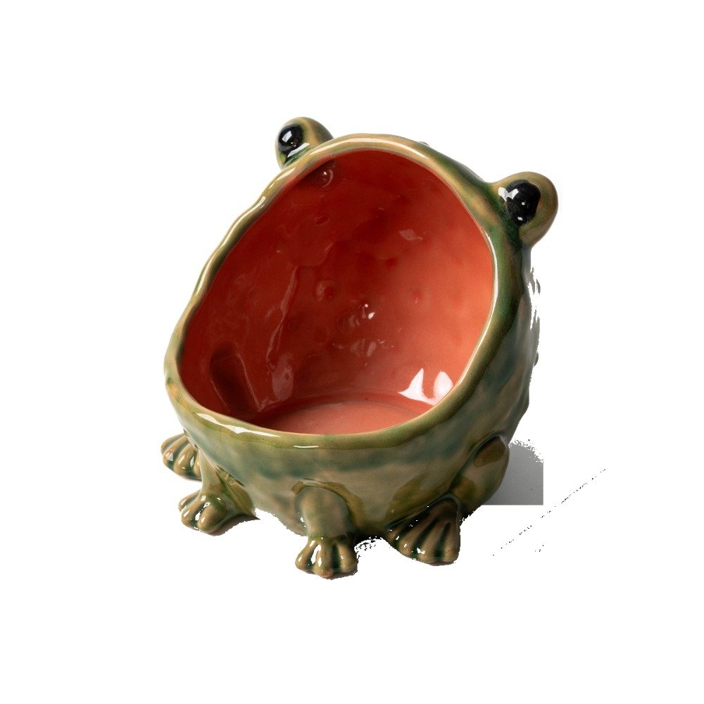 Ceramic frog bowl Ceramic bowl shaped like a frog with an open mouth